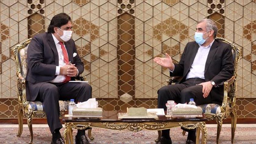 Iranpress: Developing Iran-Pakistan border terminals results in maintaining security, stability