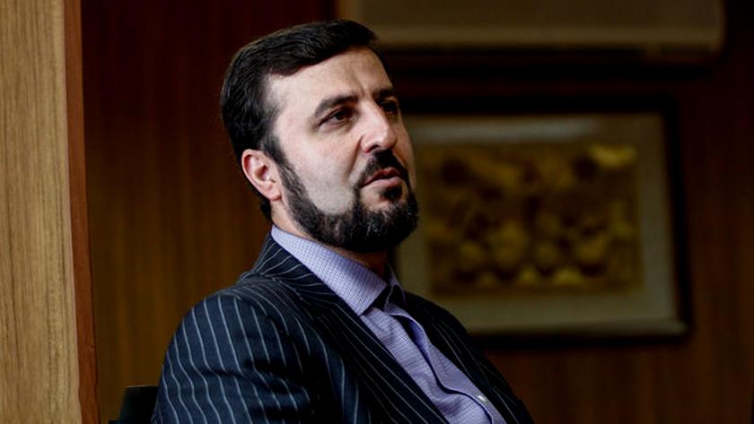 Iranpress: EU Parliament’s anti-Iran resolution based on political motives: Gharibabadi