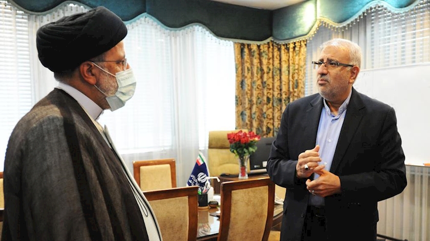 Iranpress: Oil Minister arrived in Doha to attend GECF meeting 