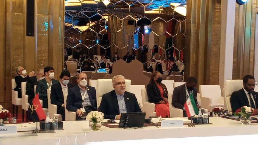 Iranpress: Iran is one of leading countries in domestic gas network: Oil Min.