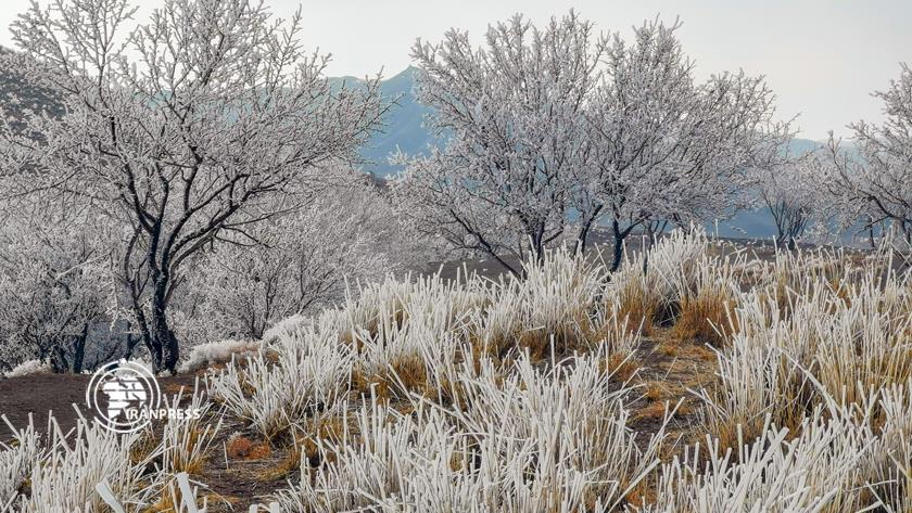 Iranpress: Journey to amazing nature in northeastern Iran 