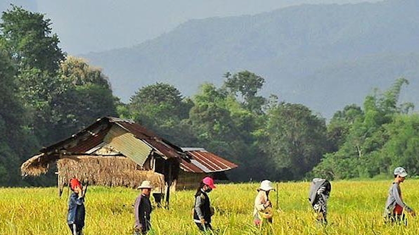 Iranpress: Inflation rate in Laos hits highest point in 2 years