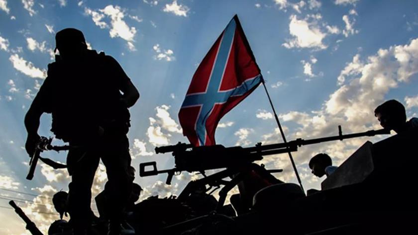 Iranpress: Russian military operation begins in eastern Ukraine