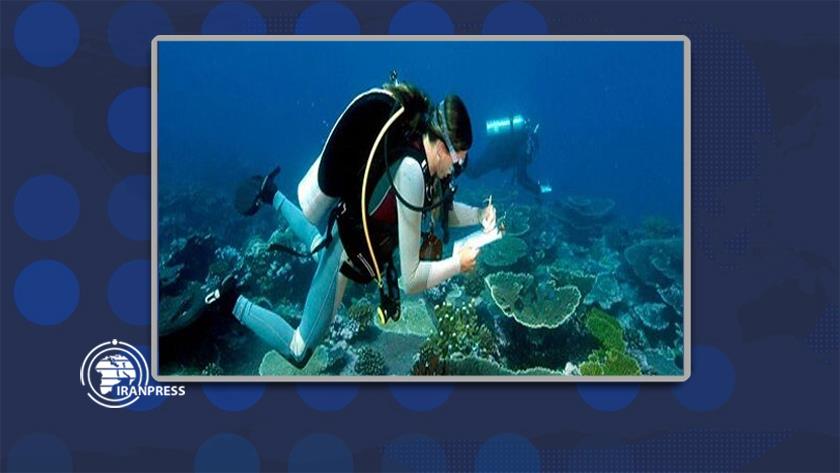 Iranpress: Iranian marine researcher wins Humboldt Award