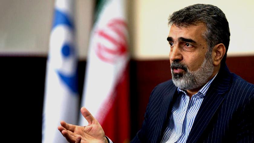 Iranpress: Issues between Iran, IAEA expected to be reviewed in Tehran: AEOI spox