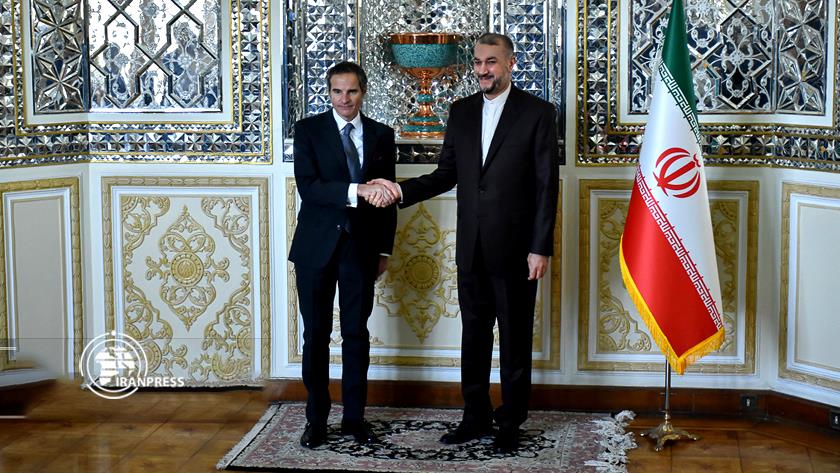 Iranpress: Iranian FM, IAEA director-general meet, discuss issues of mutual interest