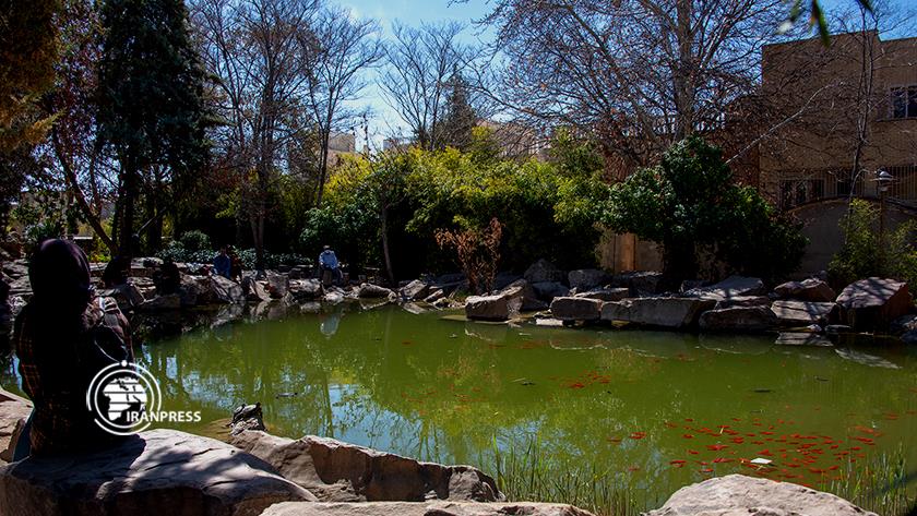 Iranpress: Spring in Shiraz attracts tourists on verge of Nowruz