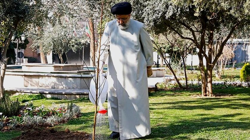 Iranpress: Raisi starts 1,250-hectare afforestation project in Tehran