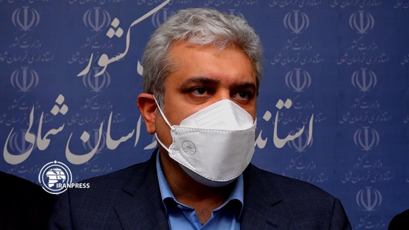 Iranpress: Knowledge-based companies; source of developmental culture