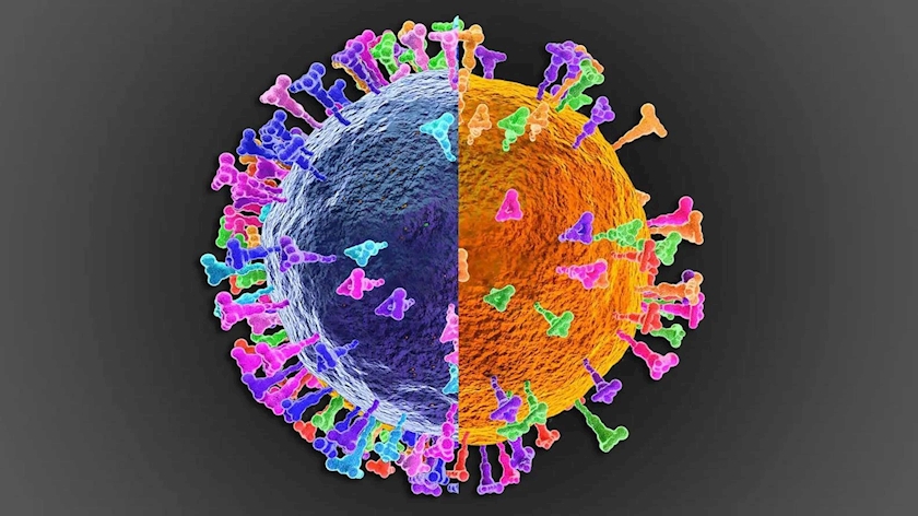 Iranpress: There may be a new COVID variant, Deltacron: Researchers say