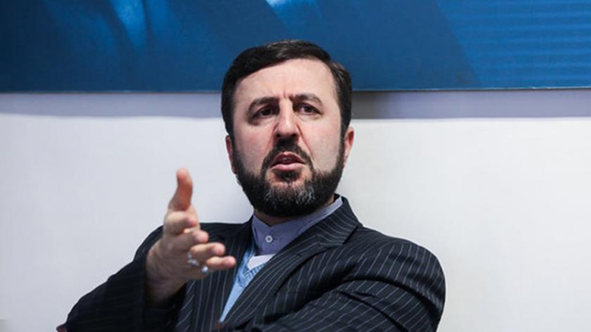 Iranpress: Saudi Arabia must be held accountable for executions