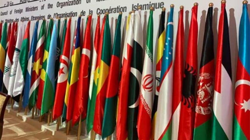 Iranpress: Pakistan says OIC must be strengthened: Statement