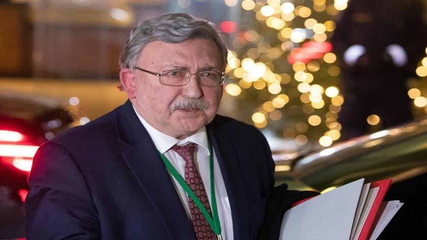 Iranpress: Ulyanov says Russia isn