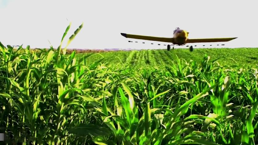 Iranpress: Israel uses aerial spraying to poison, ruin Palestinians