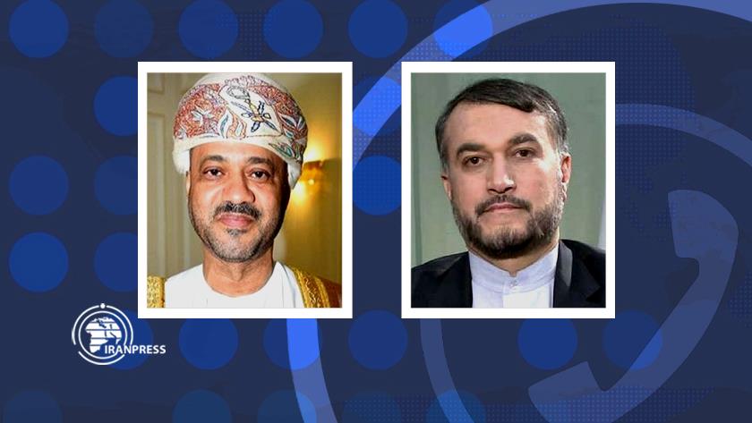 Iranpress: US directly responsible for Vienna talks prolongation