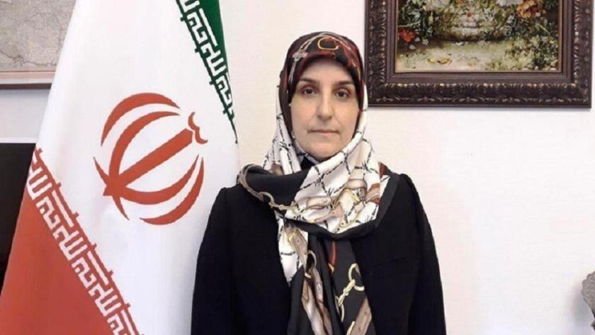 Iranpress: Iran Protests Denmark