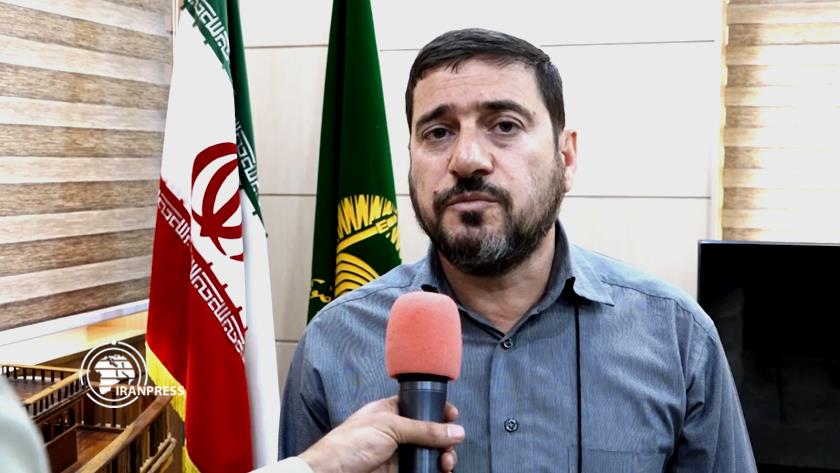 Iranpress: Iran is ready to support Qatar on hosting 2022 FIFA World Cup