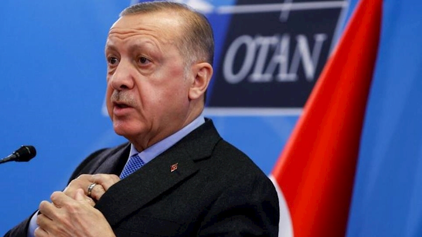 Iranpress: Tunisia calls Erdogan comments unacceptable interference in internal affairs