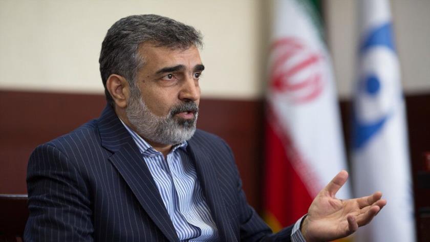 Iranpress: Construction of nuclear power plants necessary for Iran: AEOI Spox 