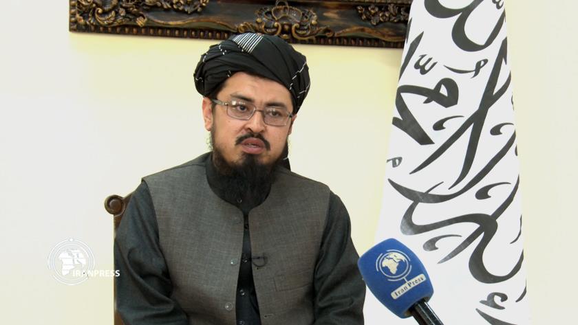 Iranpress: Taliban to Muslims: stand against Israel