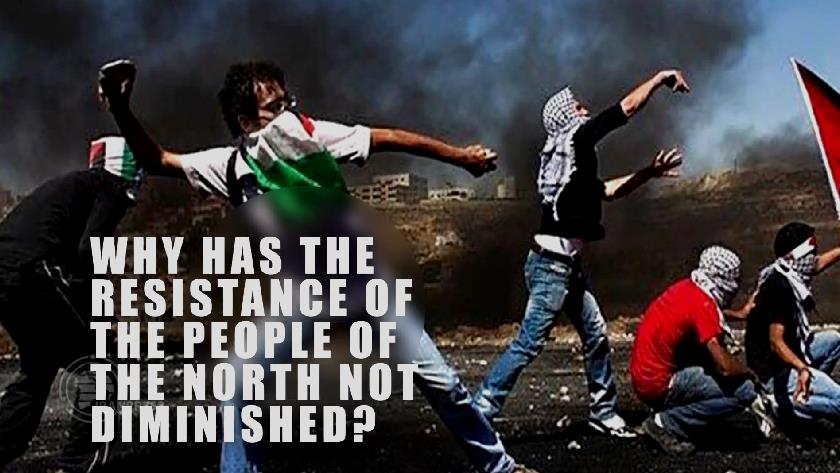 Iranpress: The Palestinian issue is alive by the resistance
