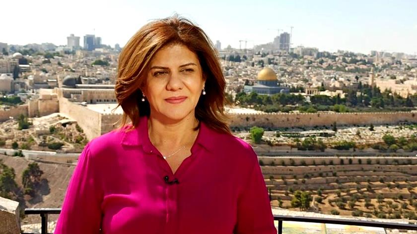 Iranpress: Iranian journos condemn Al-Jazeera reporter