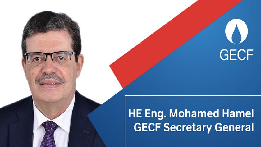 Iranpress: GECF Sec. Gen. Addressed Iran Oil Show Opening