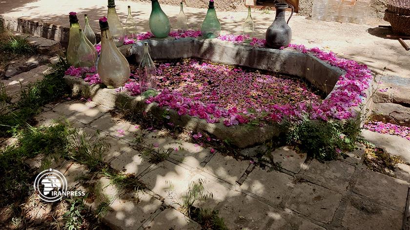 Iranpress: Get to know world