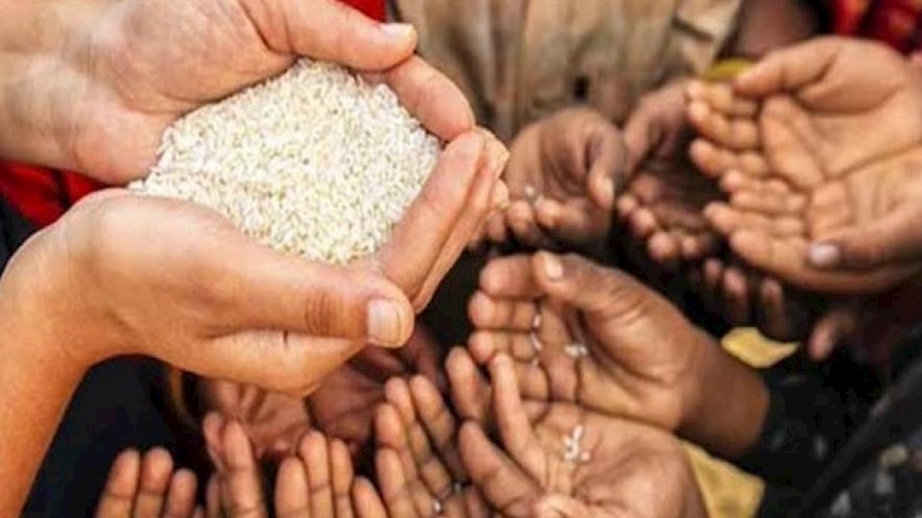 Iranpress: War in Ukraine is fuelling next global food crisis: FAO