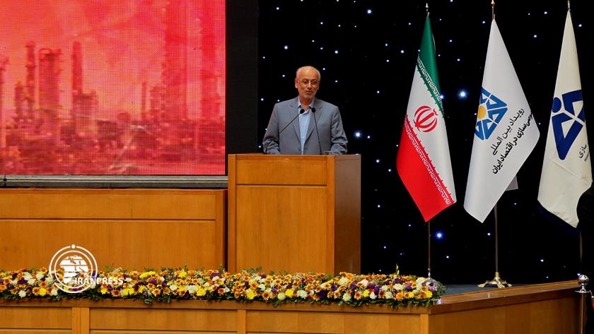 Iranpress: Private sector capacity must be trusted: MP