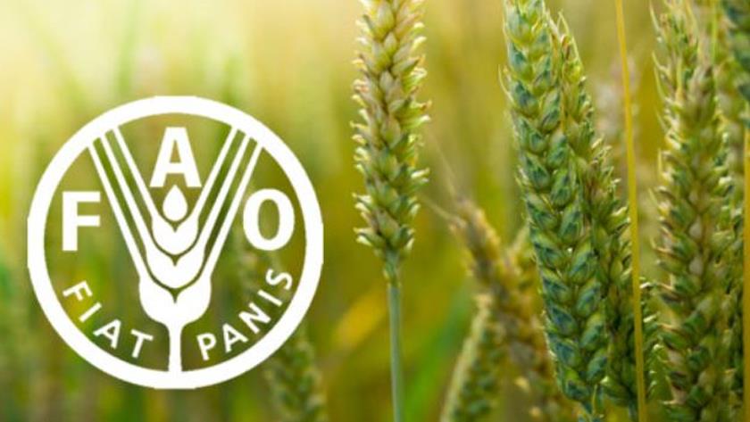 Iranpress: Iran ranked 3-19 worldwide in production of 20 important agricultural products