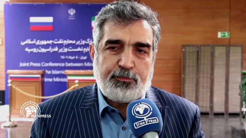 Iranpress: Iran, Russia to cooperate on developing Bushehr Nuclear Power Plant