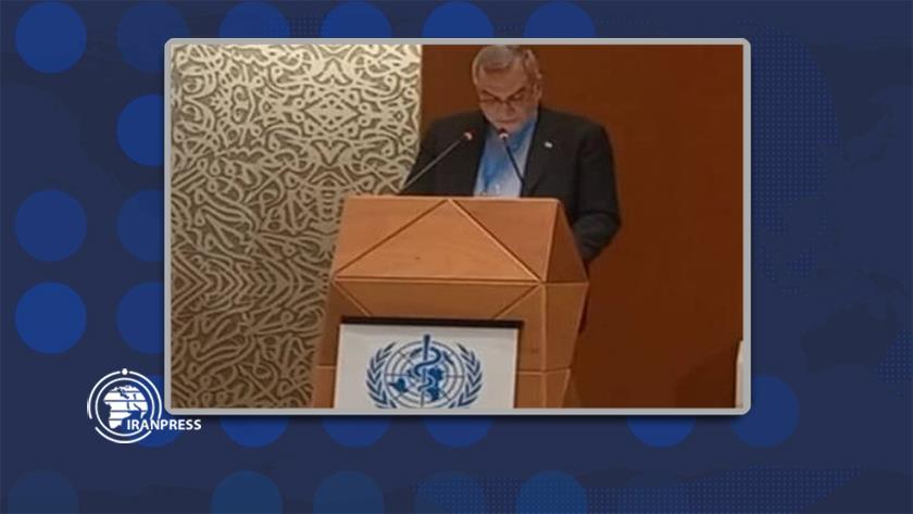 Iranpress: US sanctions increase global health casualties: Einollahi 