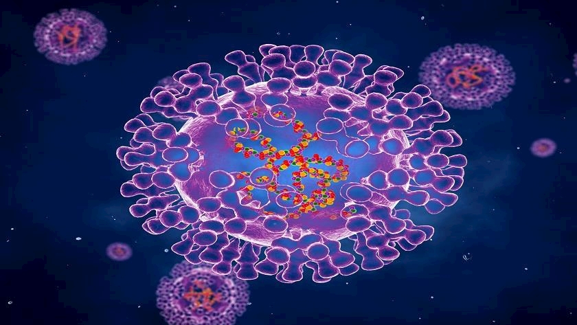 Iranpress: WHO warns of unusual spread of Monkeypox virus in coming days