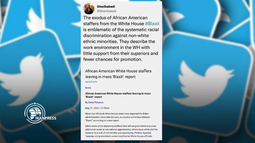 Iranpress: Blaxit symbolises racial discrimination against non-white ethnic minorities