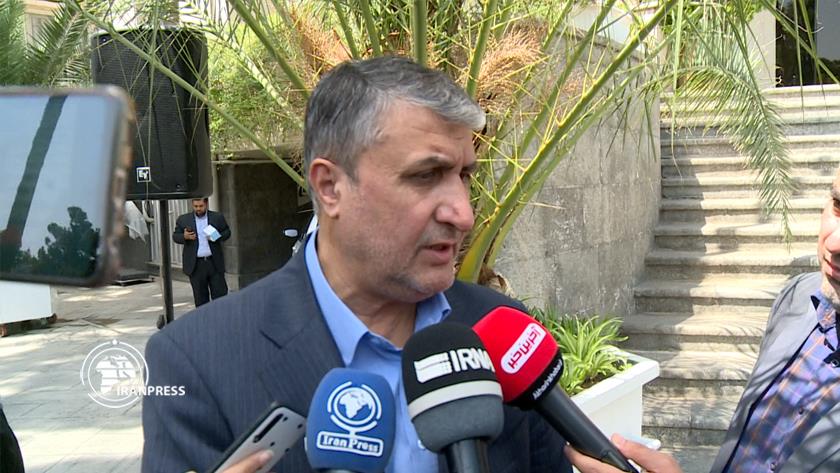 Iranpress: Iran-IAEA cooperation continues 
