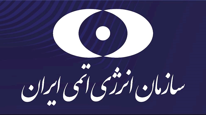 Iranpress: A number of IAEA cameras in Iran to be shut down: AEOI 