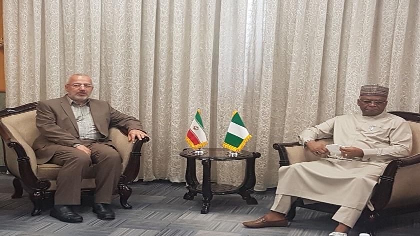 Iranpress: Nigerian FM calls for Muslims