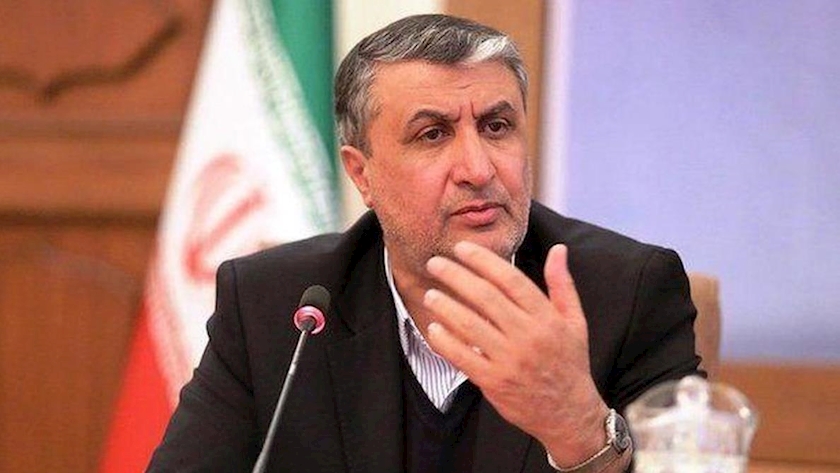 Iranpress: International Atomic Energy Agency under Israeli control: Iranian offcial