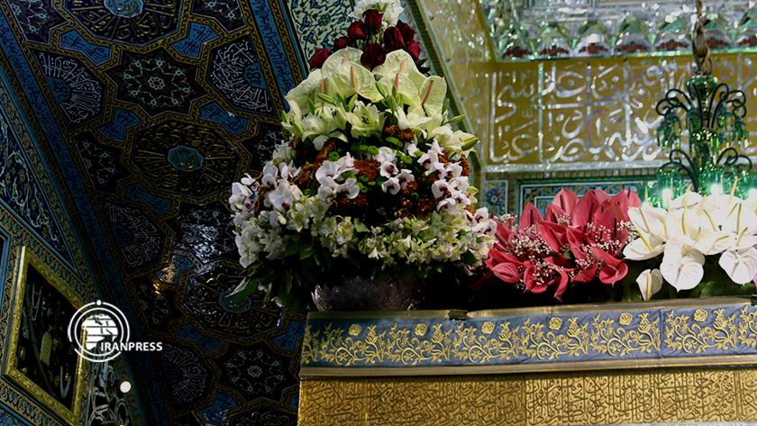 Iranpress: Imam Reza