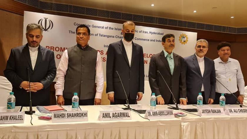 Iranpress: Iran, India exploring promising opportunities for development of bilateral trade 