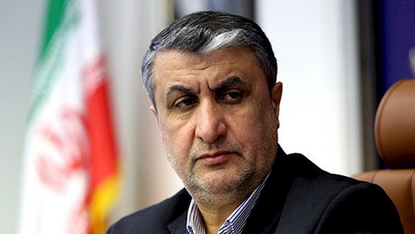 Iranpress: No nuclear substance hidden in Iran from IAEA