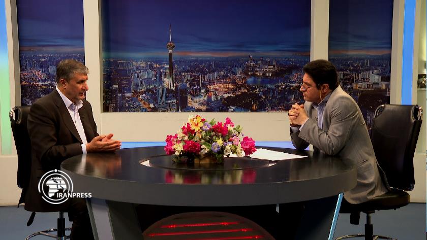 Iranpress: Director-General of IAEA repeats Israel