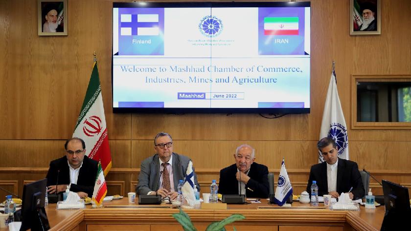 Iranpress: Hundreds of Afghan refugees to be transferred from Iran to Finland