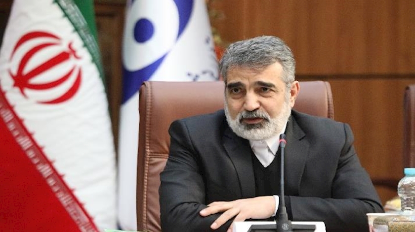Iranpress: Iran urges IAEA chief to stay away from political remarks