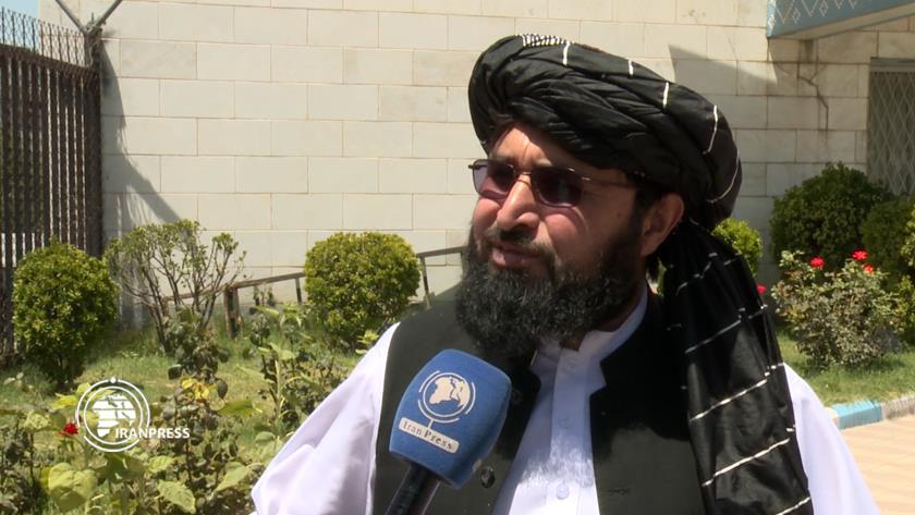Iranpress: Taliban administration; main supporter of investors in Afghanistan