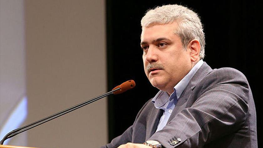 Iranpress: Iranian knowledge-based companies in AI, largest in region: Sattari