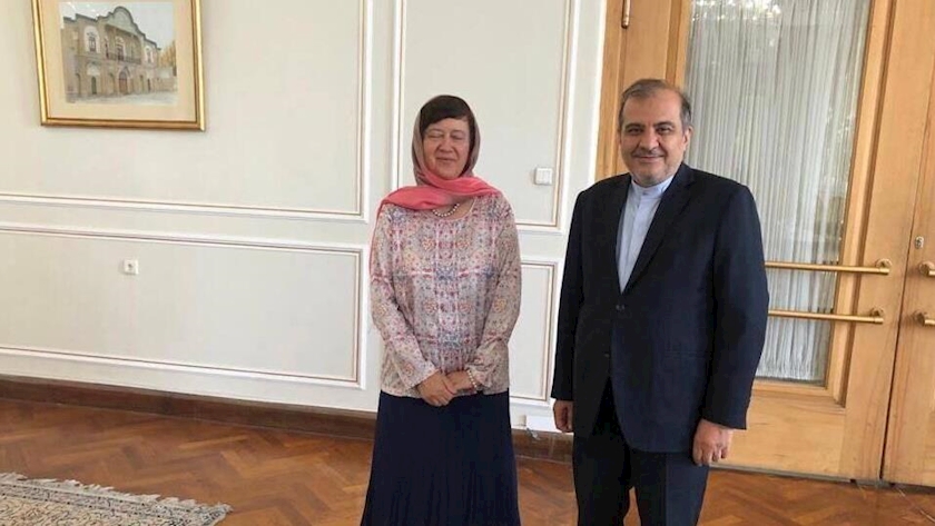 Iranpress: Iran supports political process in Lebanon: FM aide