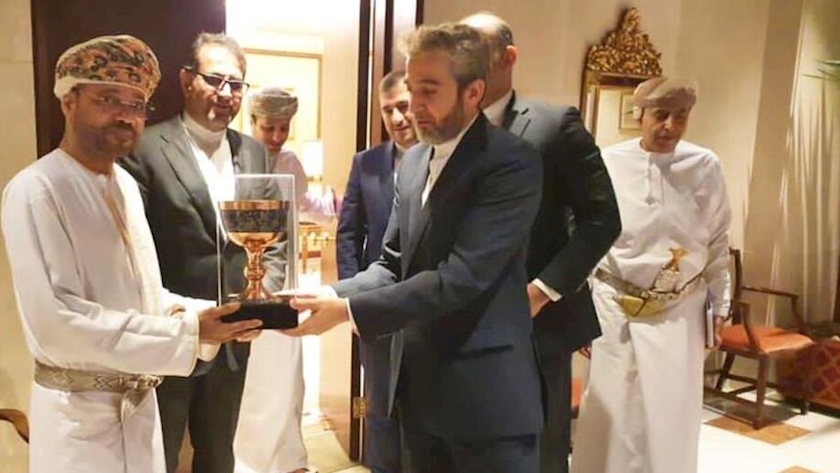 Iranpress: Iranian senior negotiator consults with top Omani diplomat in Muscat