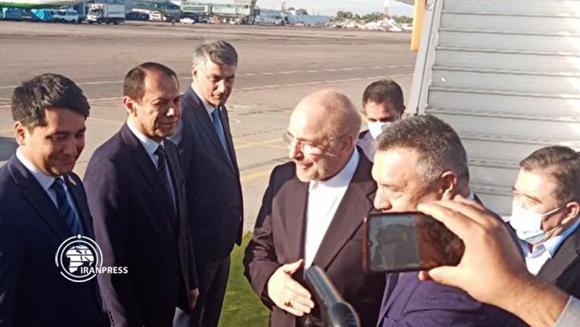 Iranpress: Iran